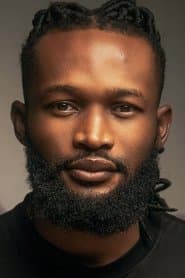 布齐·富兰克林