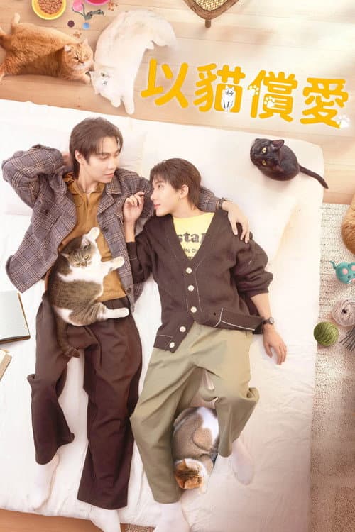 以猫饲爱