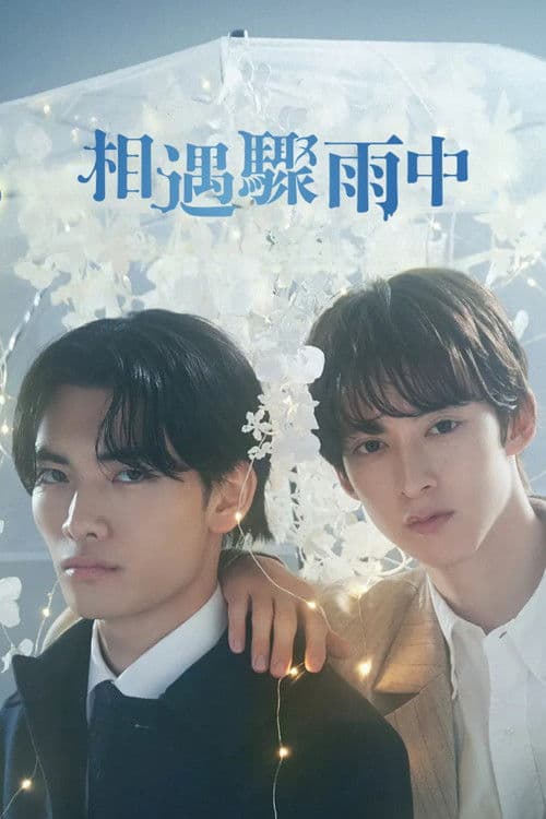 相遇骤雨中