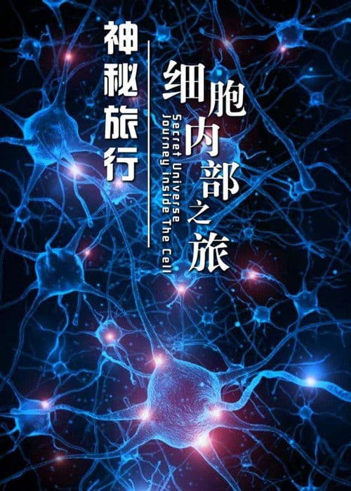 神秘旅行：细胞内部之旅