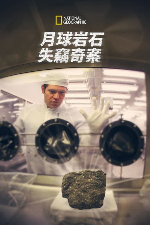 百万美元月岩偷窃案