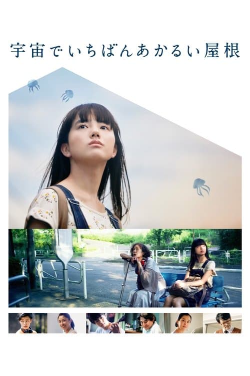 宇宙中最明亮的屋顶