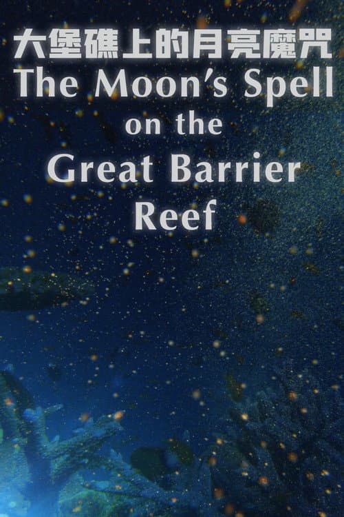 大堡礁上的月亮魔咒