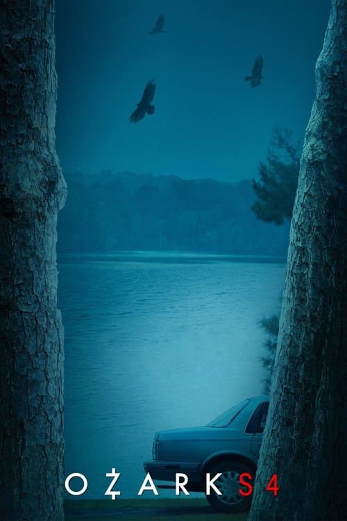 黑钱胜地第四季