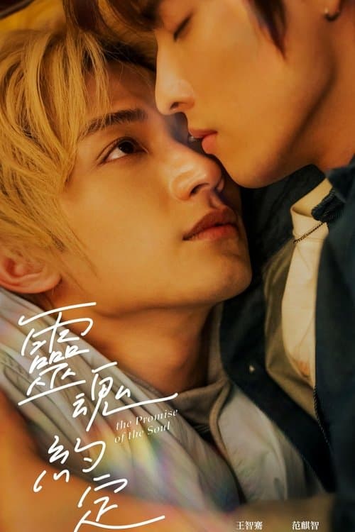 灵魂约定