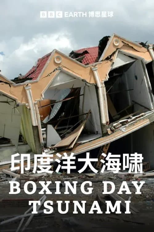 印度洋大海啸第一季