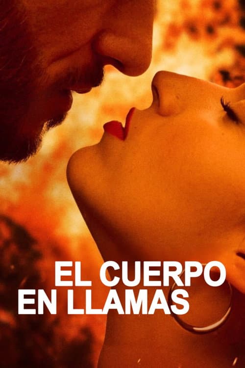 爱恨焚身第一季