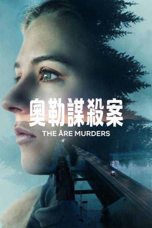 奥勒谋杀案第一季