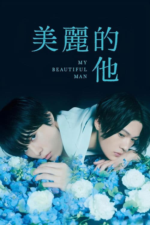 美丽的他