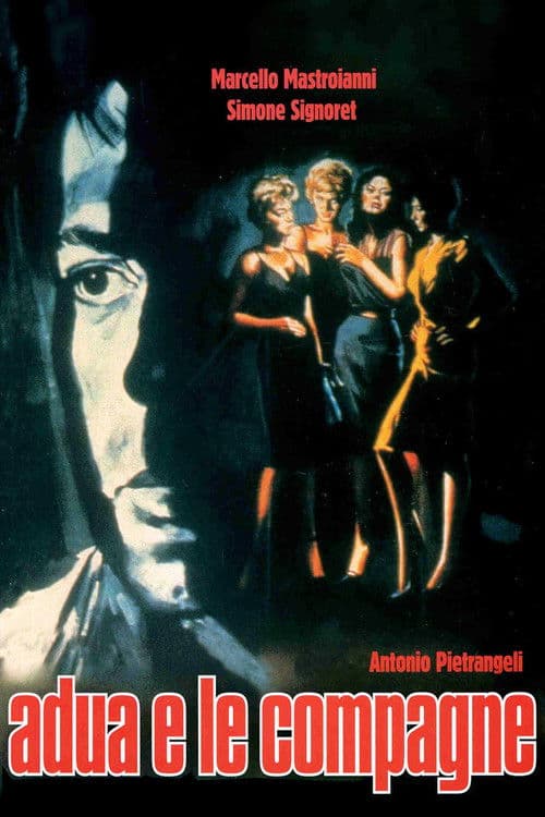 阿朵拉和她的朋友们