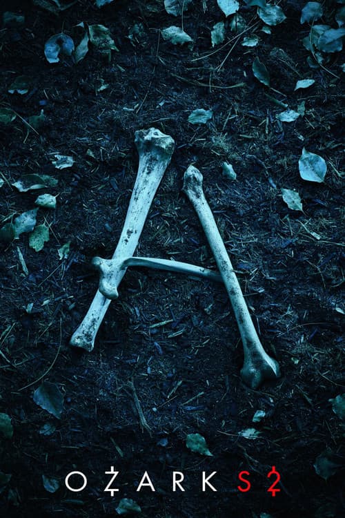 黑钱胜地第二季