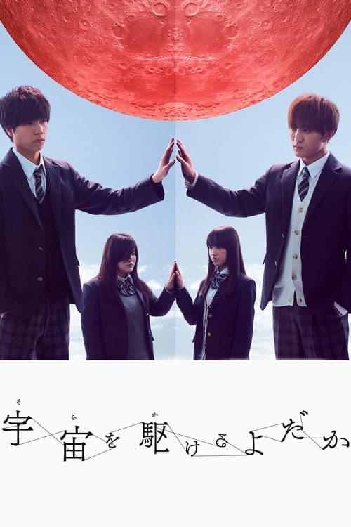 翱翔于天际的夜鹰