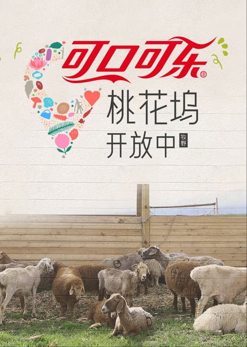 桃花坞开放中第四季