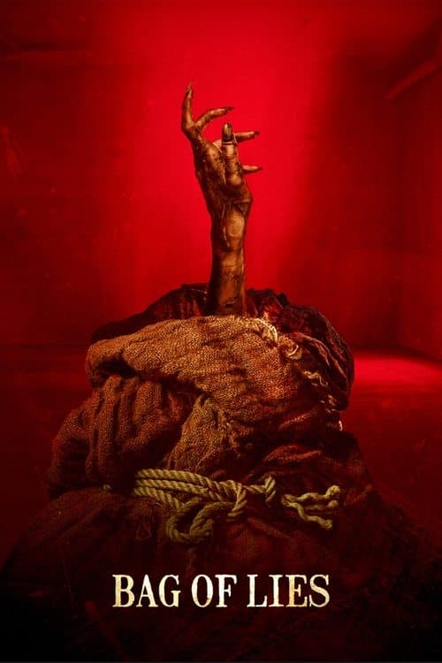 魔袋谎言