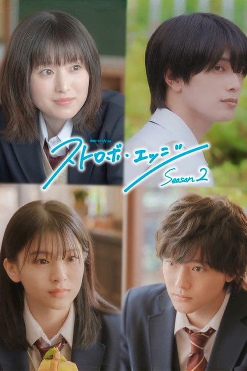 闪烁的爱情第二季