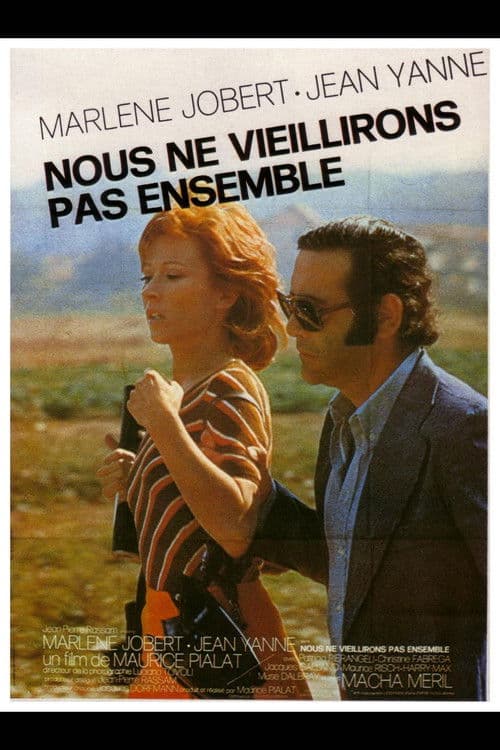 我们不能白头到老