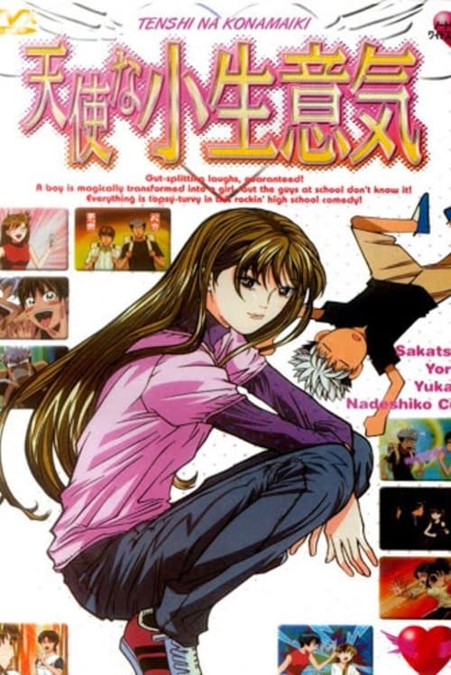 天使的小生意气