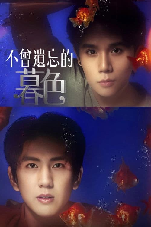 不曾遗忘的暮色